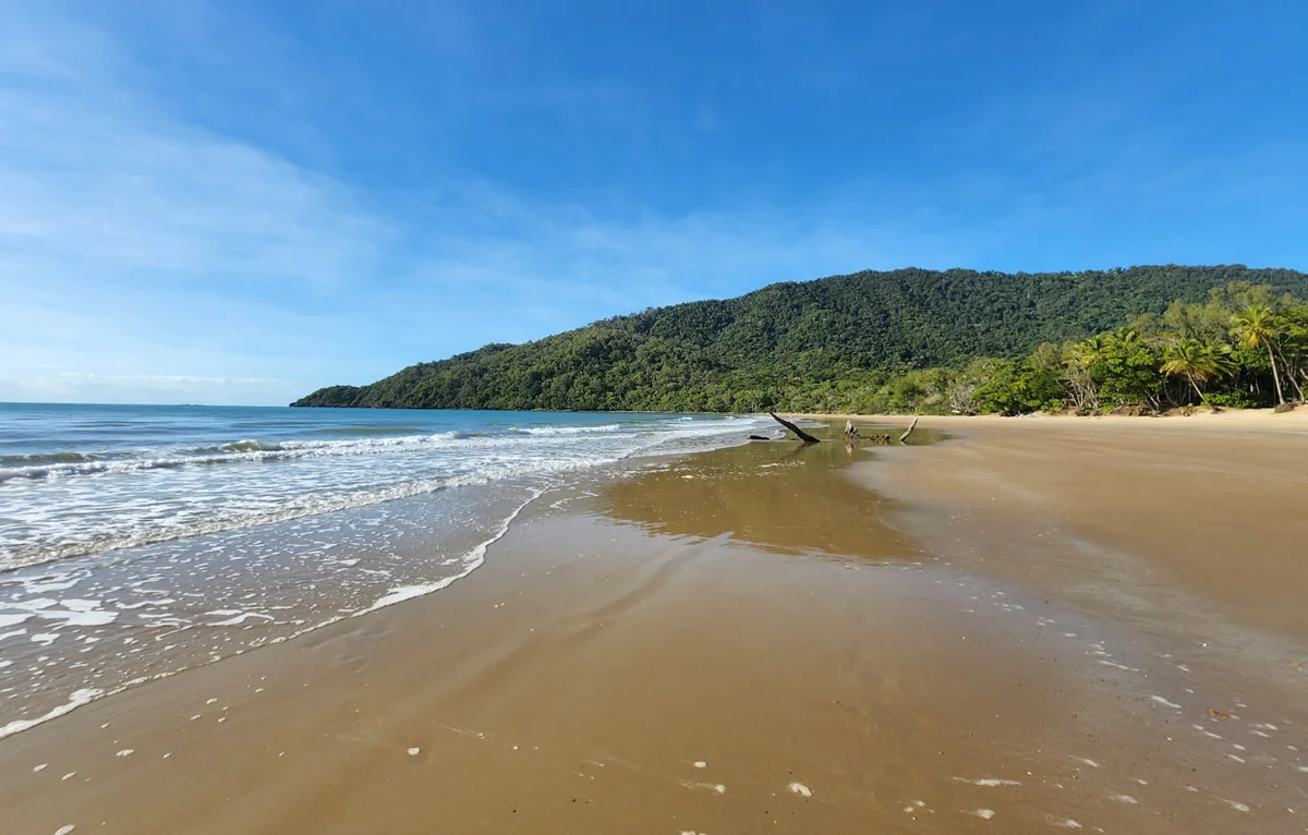 Cow Bay, Daintree rainforest